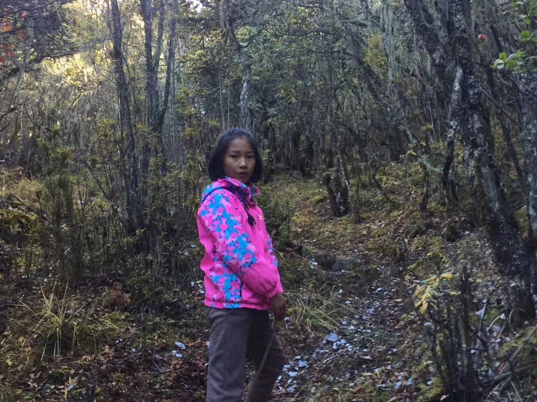 五凤山赛马场-香格里拉县必去景点