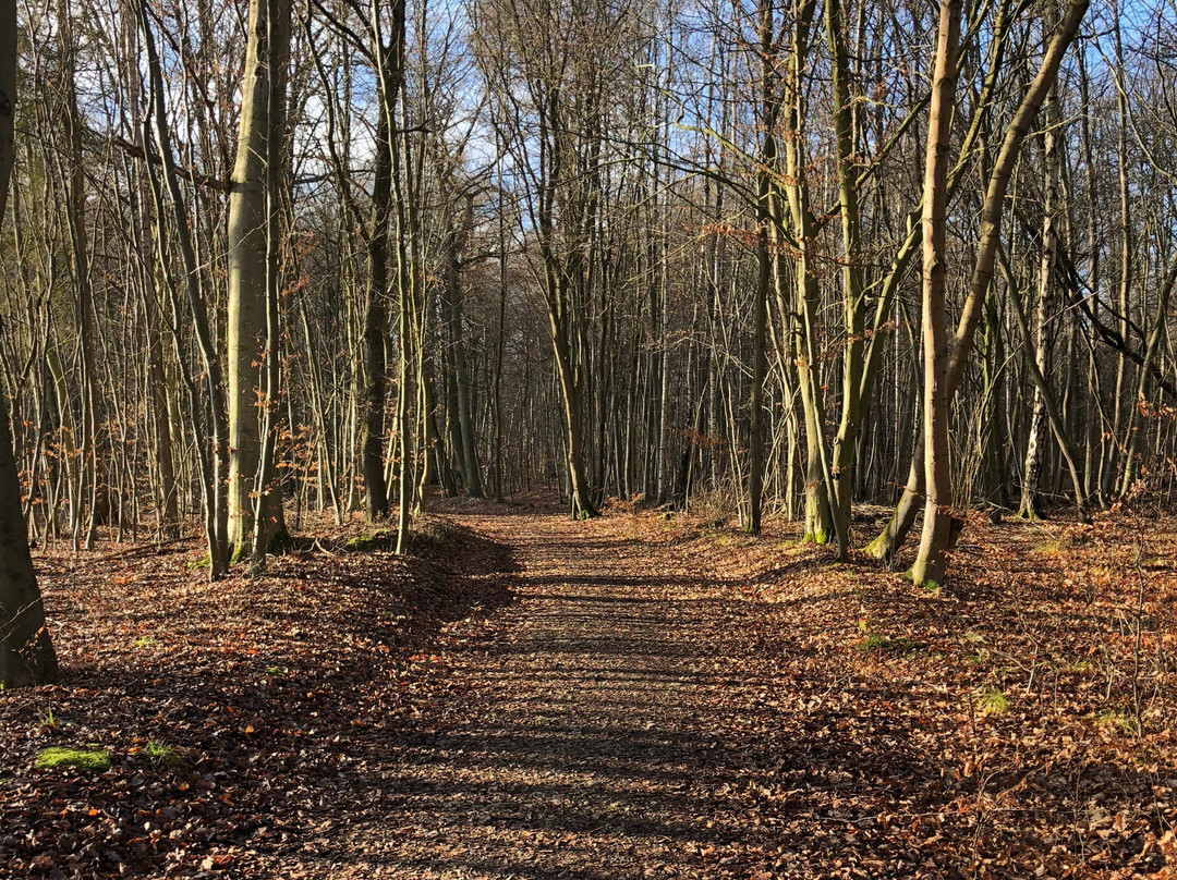 Stadtwald Muehlhausen-Mühlhausen必去景点
