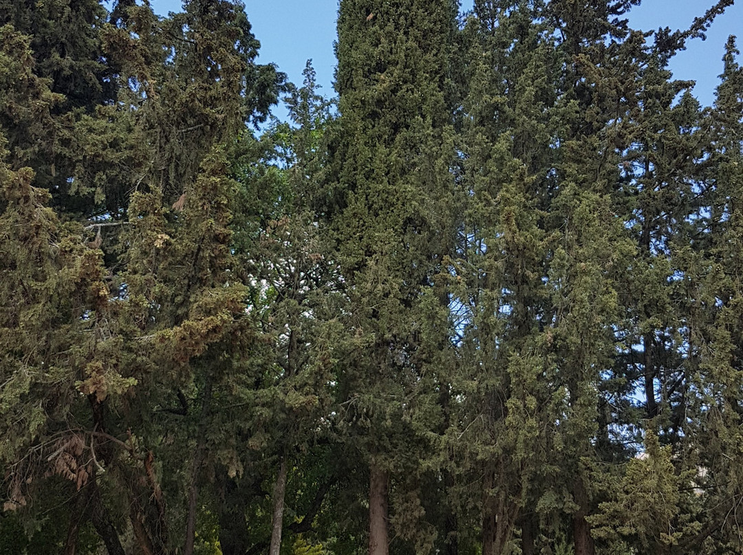 İmam-i Birgivi Mehmet Efendi Türbesi-Birgi必去景点