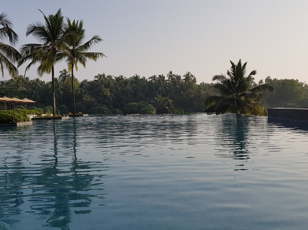 阿丽拉 迪瓦果阿 . 印度主图