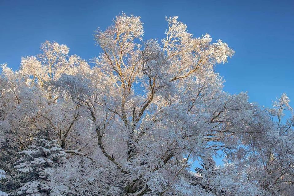 北大湖滑雪场景点图片
