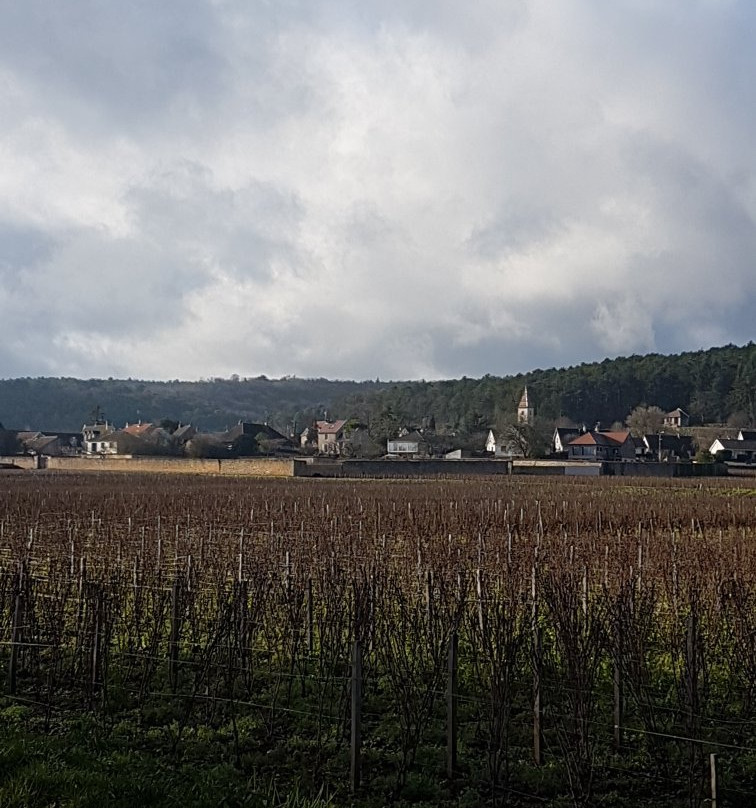 Domaine du Clos Saint-Louis景点图片