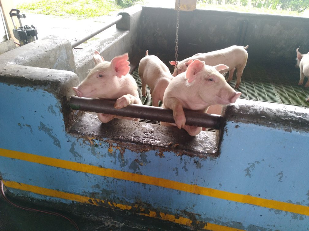 Parques Panaca-Quimbaya必去景点