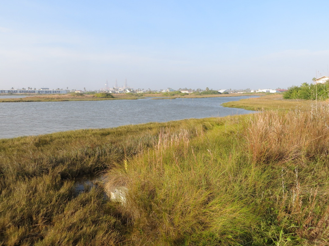 Wetland Park