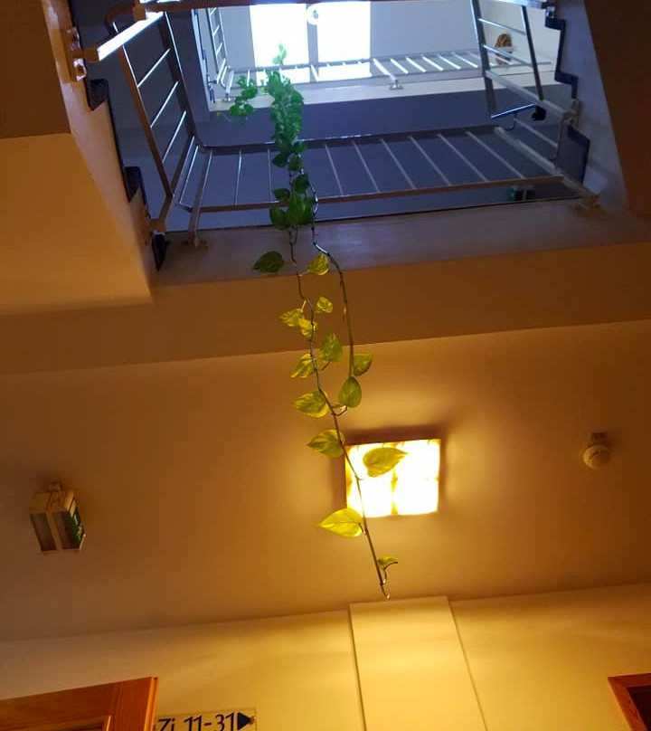 Schloss Hotel Landstuhl主图