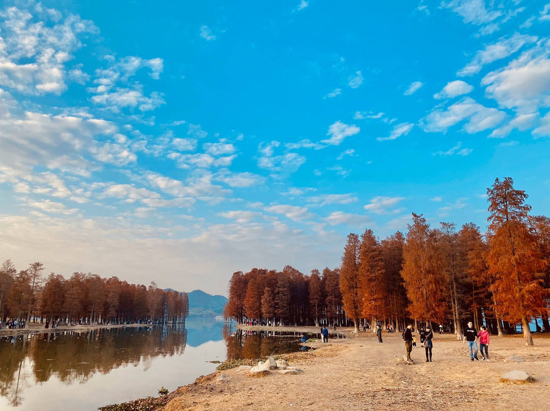 四明湖-余姚市必去景点