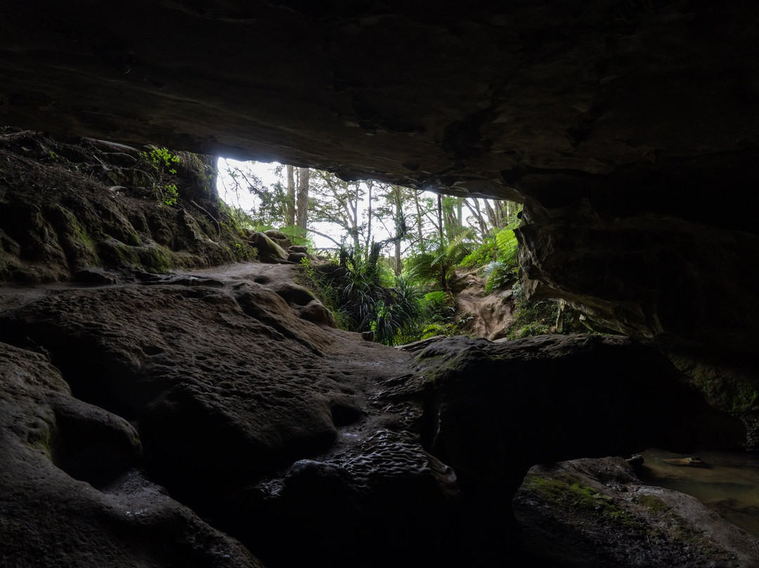 Waipu Caves Track景点图片