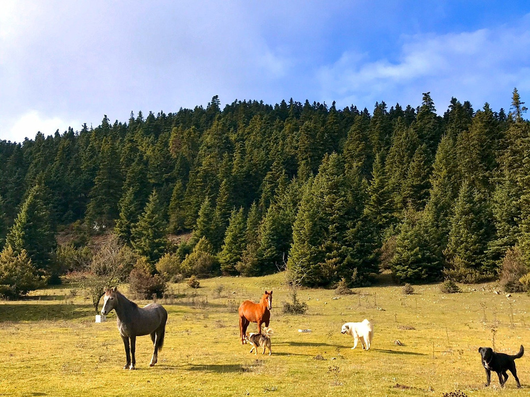 Katafygio-Oiti-Panourgias必去景点