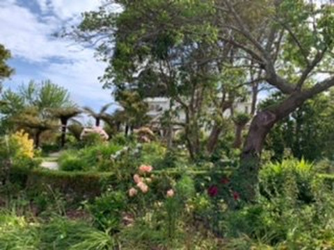 Te Koi - The Lodge At Bronte主图