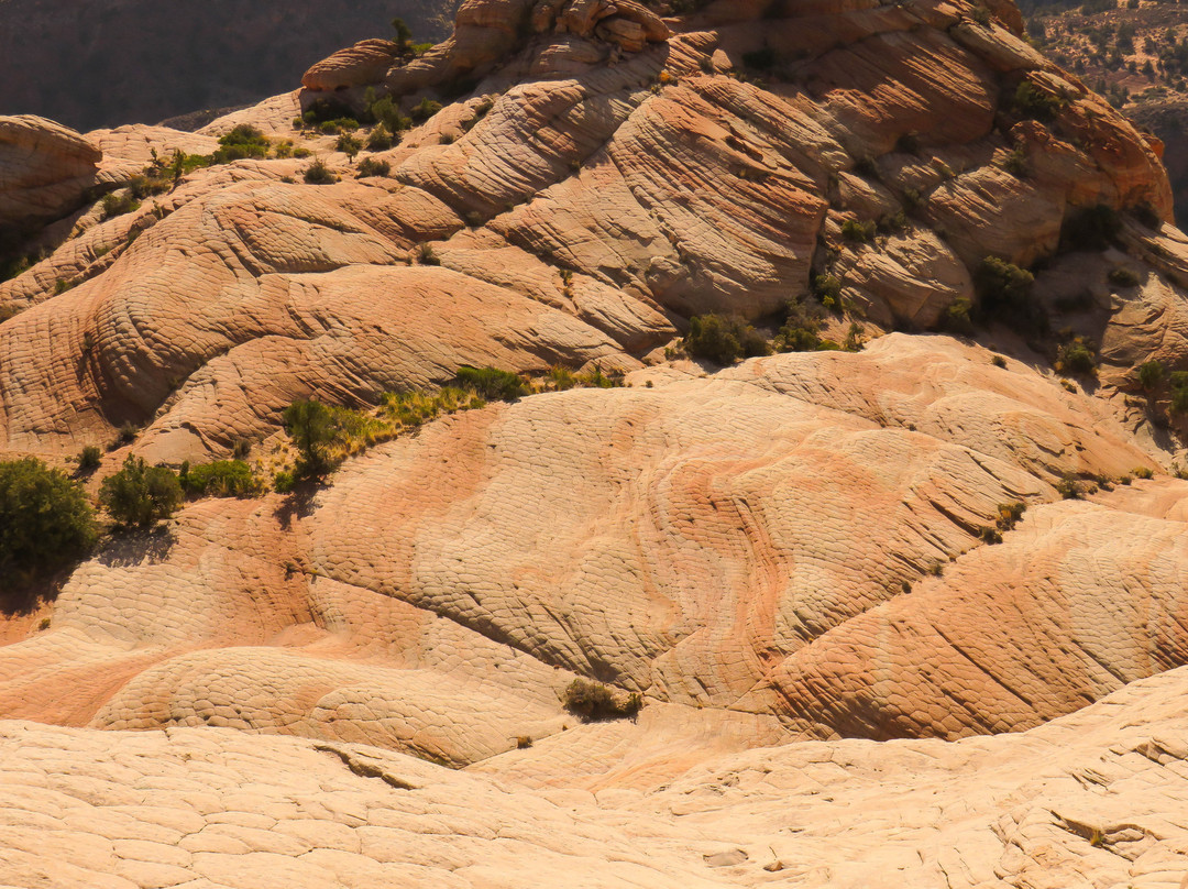 Yant Flat-Leeds必去景点