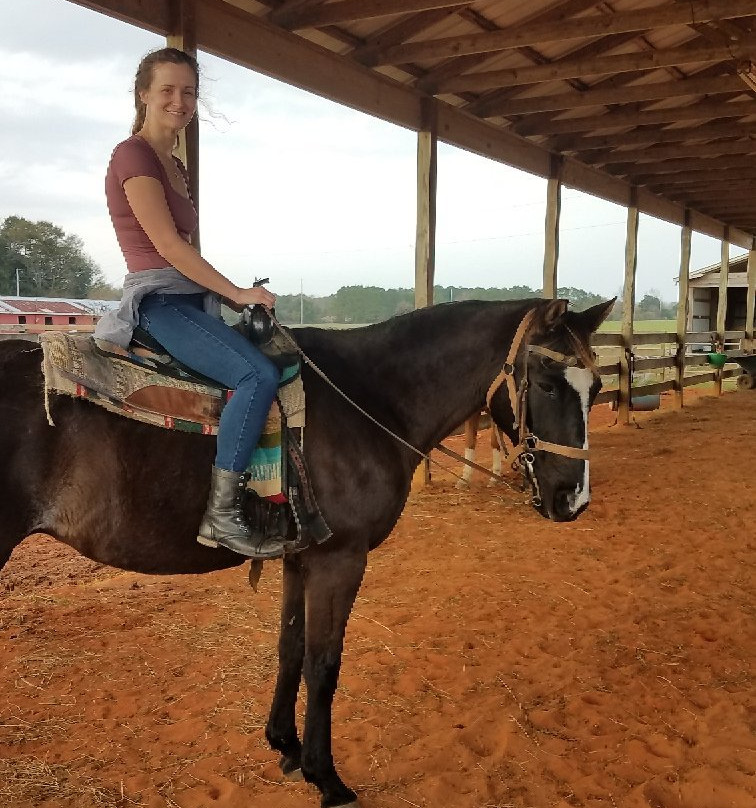 Oak Hollow Farm-费尔霍普必去景点