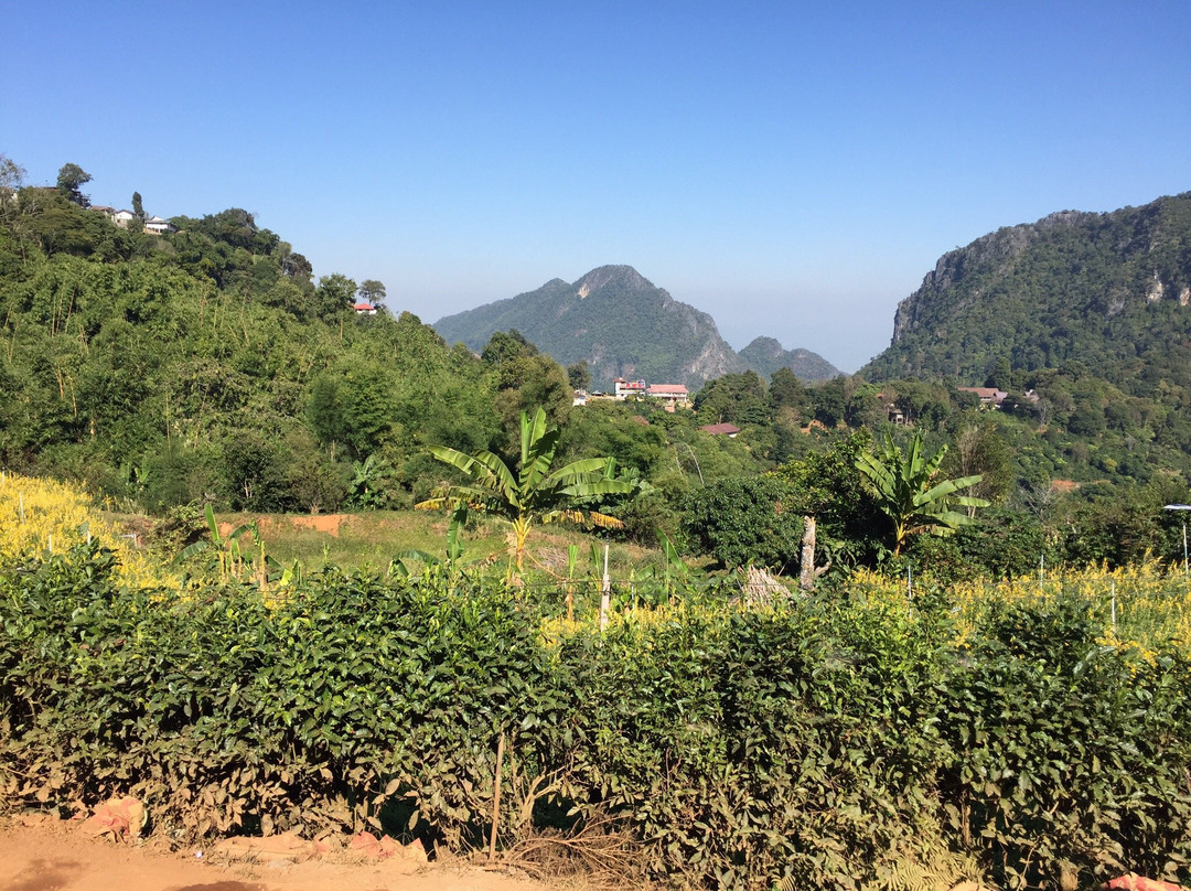 Pha Hi Village-美塞必去景点