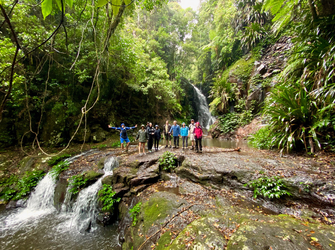 Rainforest Tours Australia-黄金海岸必去景点