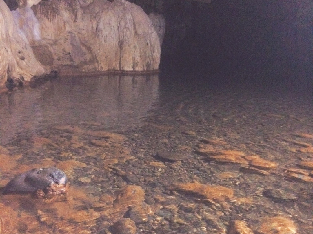 Phuong Hoang Cave and Mo Ga Stream景点图片