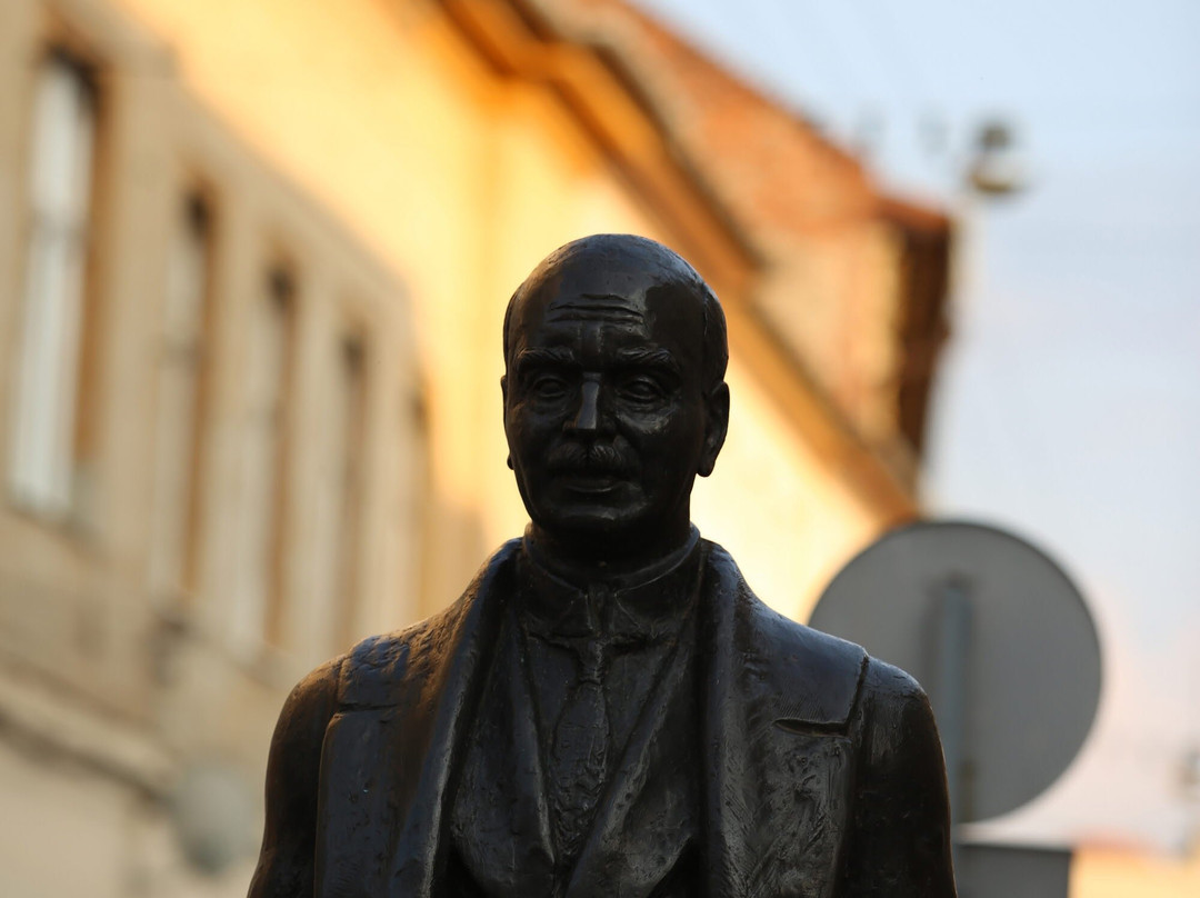Statuia lui Aurel Lazar景点图片
