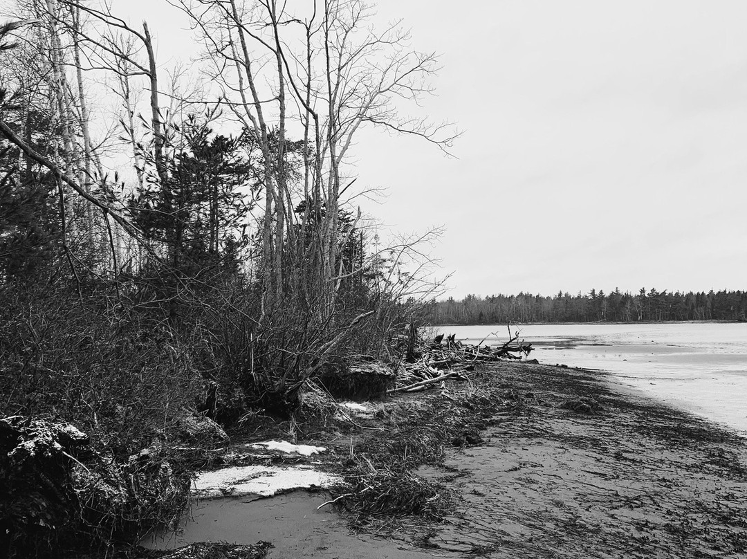 Kouchibouguac National Park-Saint-Louis-de-Kent必去景点