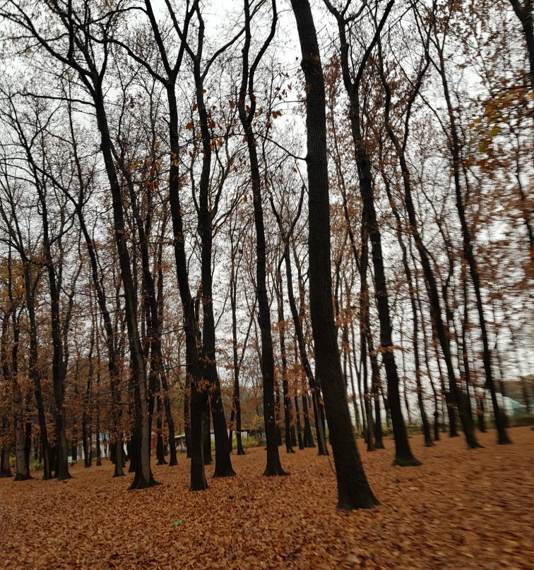 Zapaden Park-索非亚必去景点