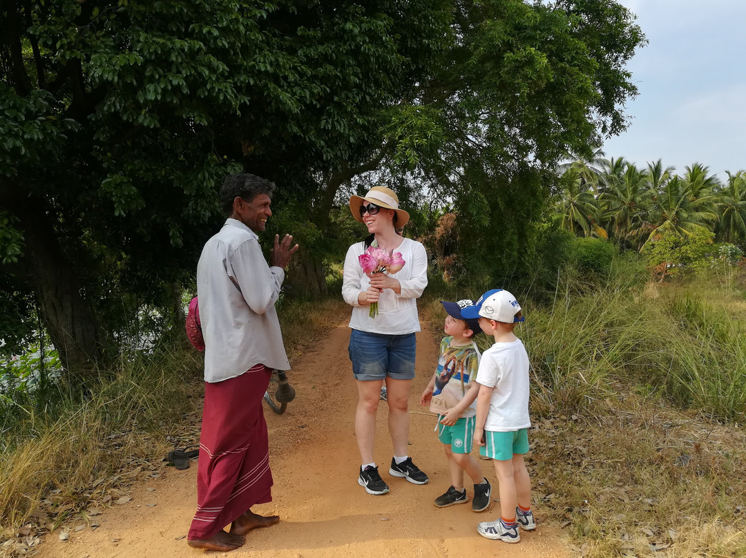 Village Tour Sri Lanka-丹布拉必去景点