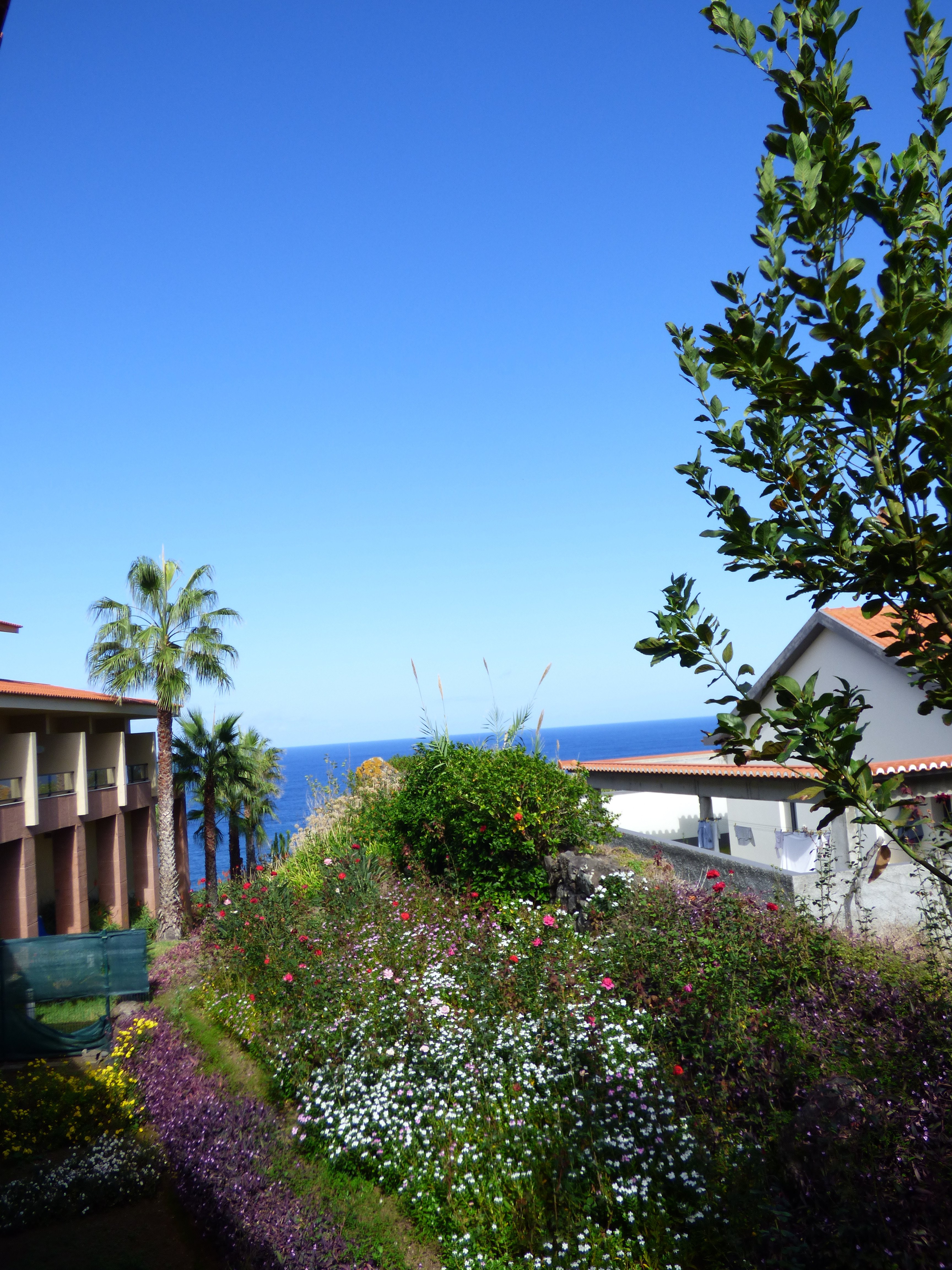 Monte Mar Palace Hotel-酒店景观