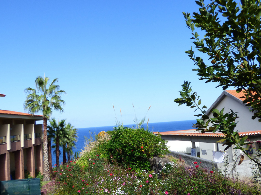 Monte Mar Palace Hotel主图