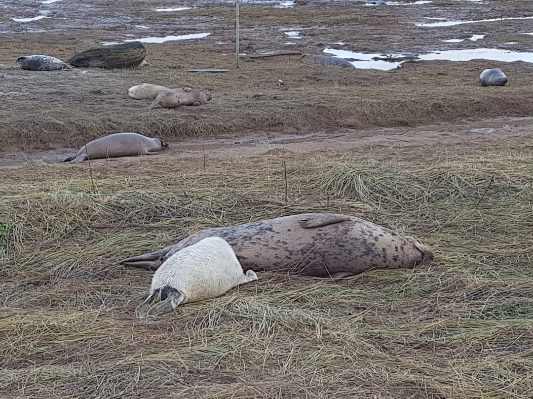 Pigeon Cottage主图