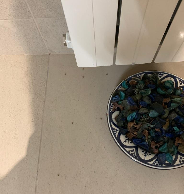 Villa Abbamer - Country House主图