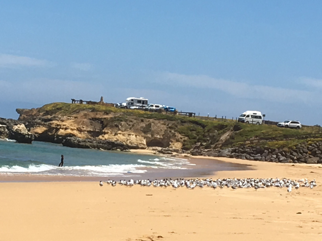 Peterborough Foreshore Playground-彼得伯勒必去景点