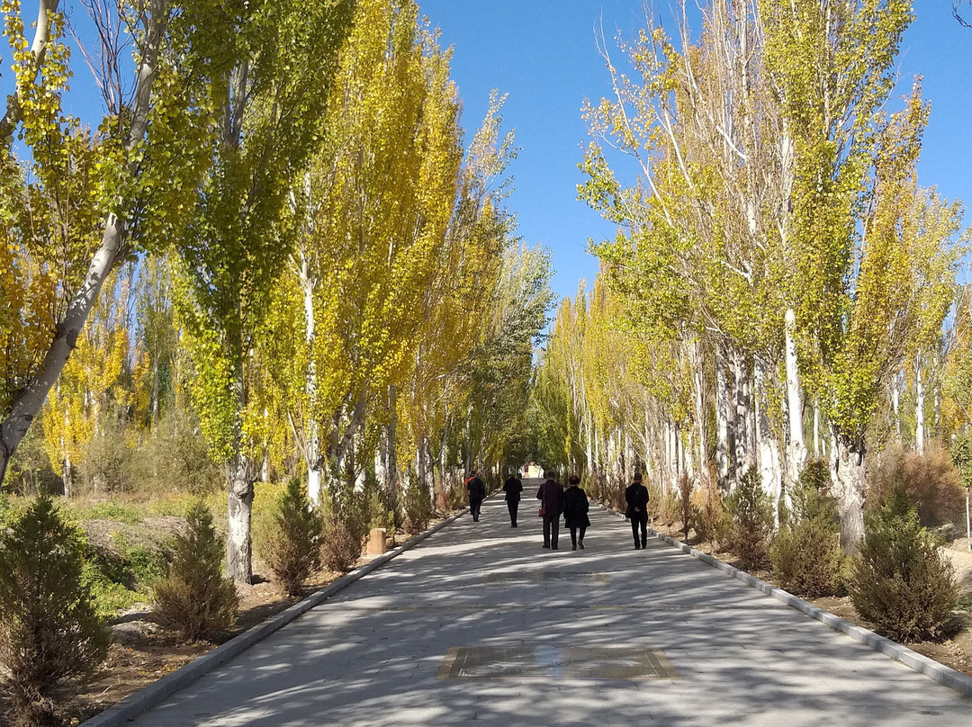 东风胡杨林露营公园主图