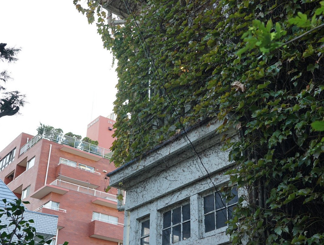 Nishinomiya Print-台东区必去景点