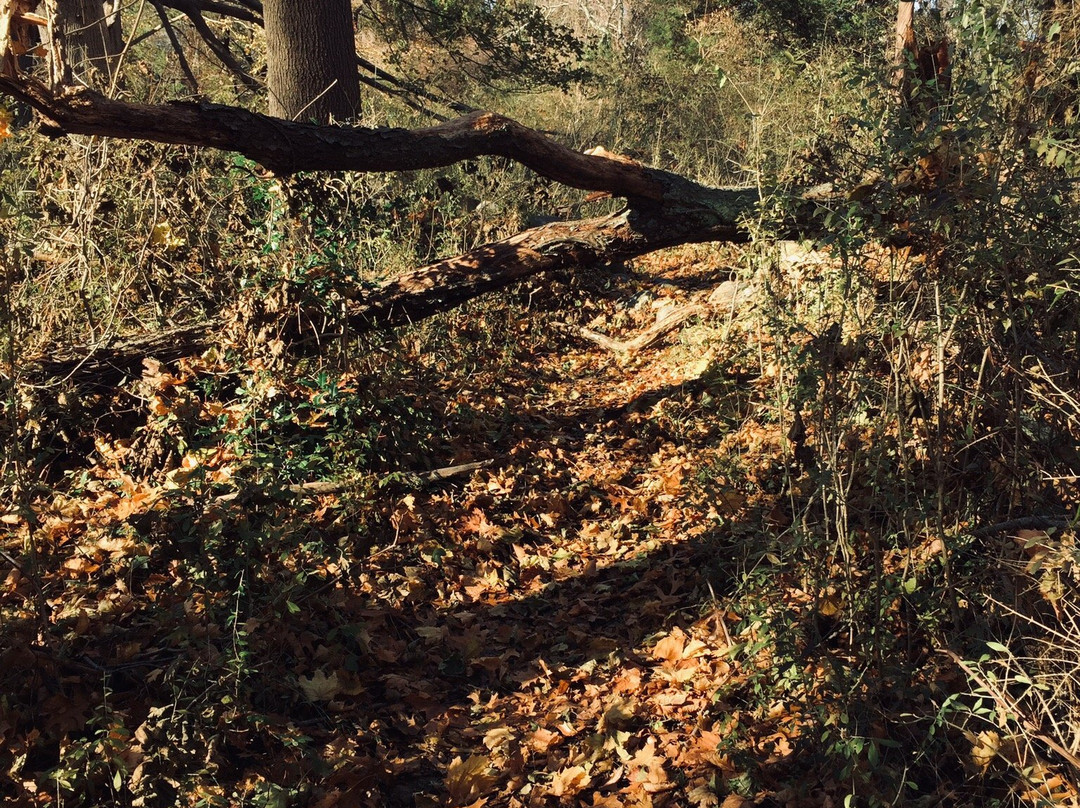 Emilie Ruecker Wildlife Refuge-Tiverton必去景点