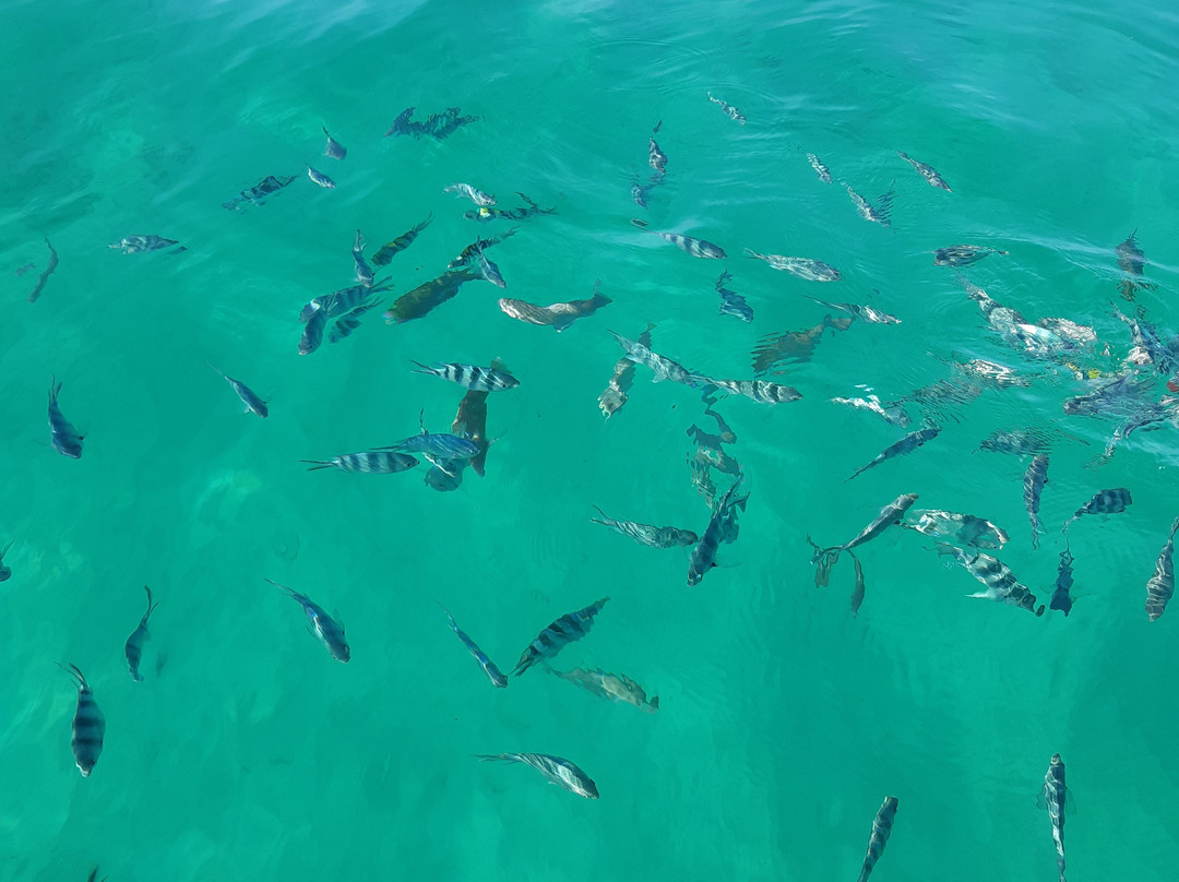 dongwe sports-多恩维必去景点