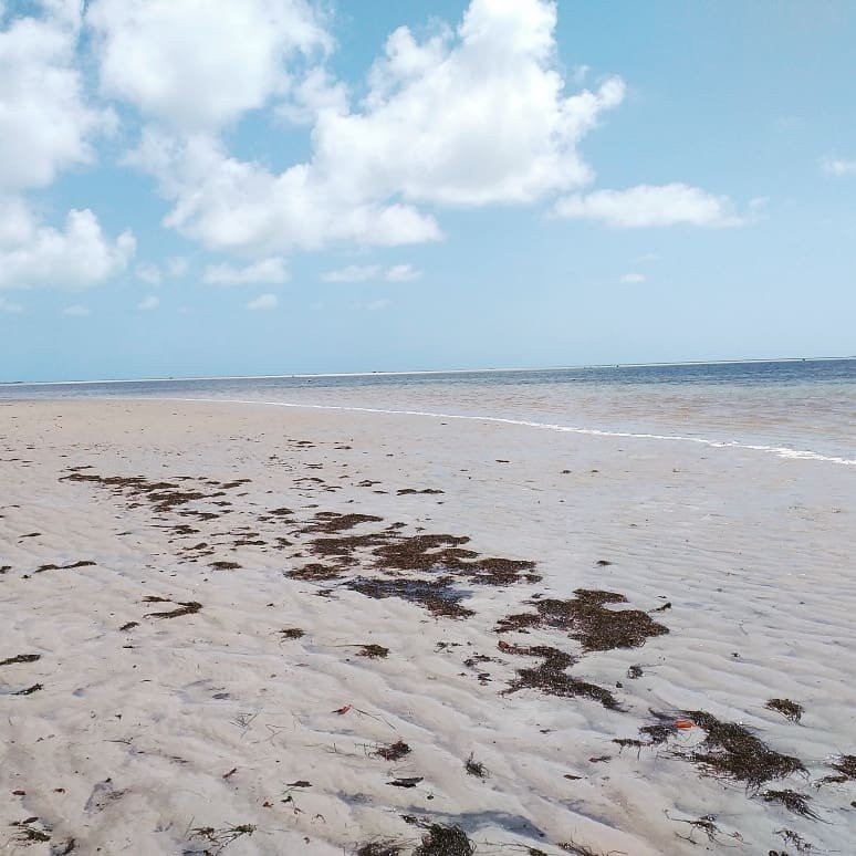Catuama Beach-Goiana必去景点