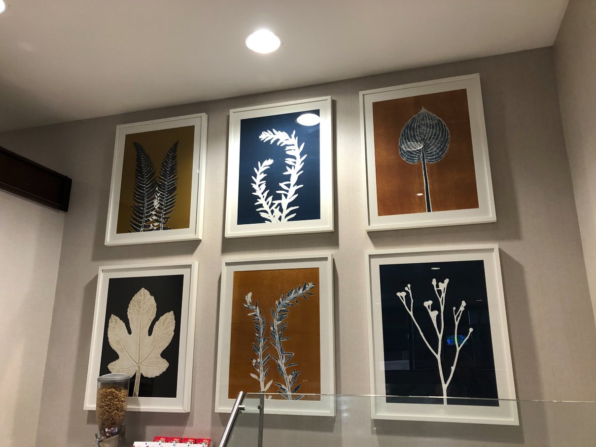 夏洛特南方公园希尔顿逸林酒店-餐饮