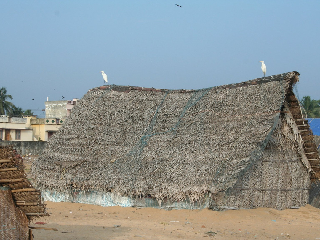 Lighthouse Beach景点图片