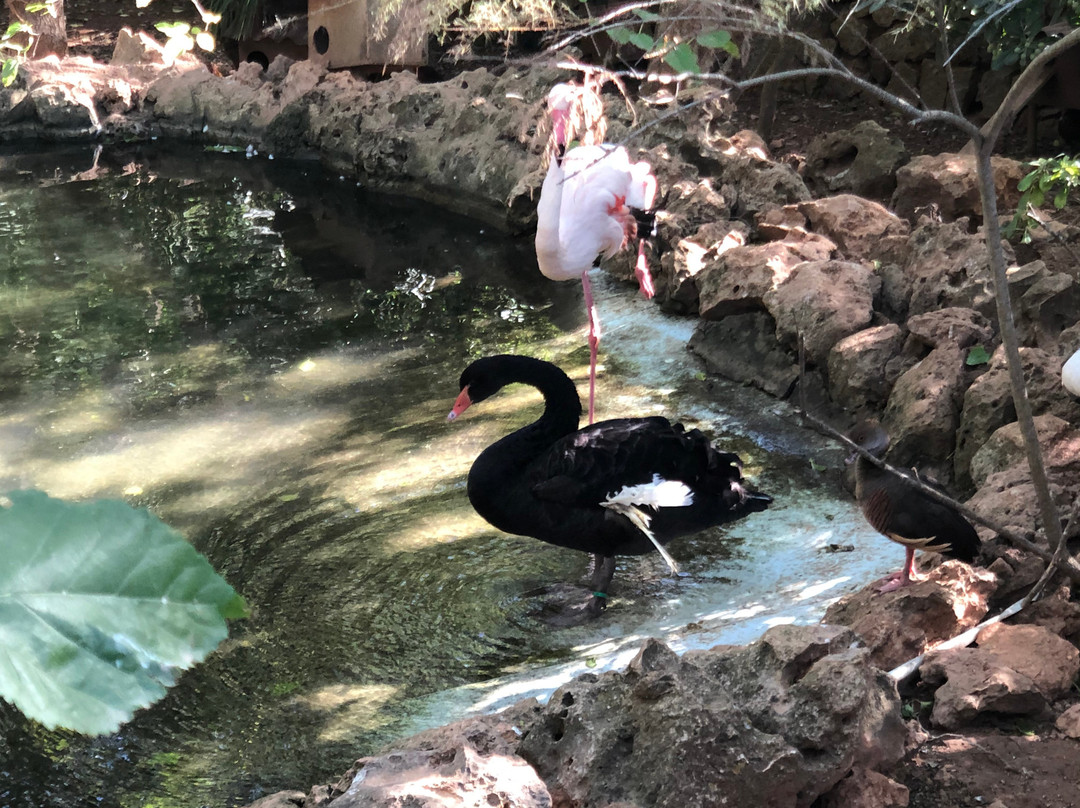 Natura Parc景点图片