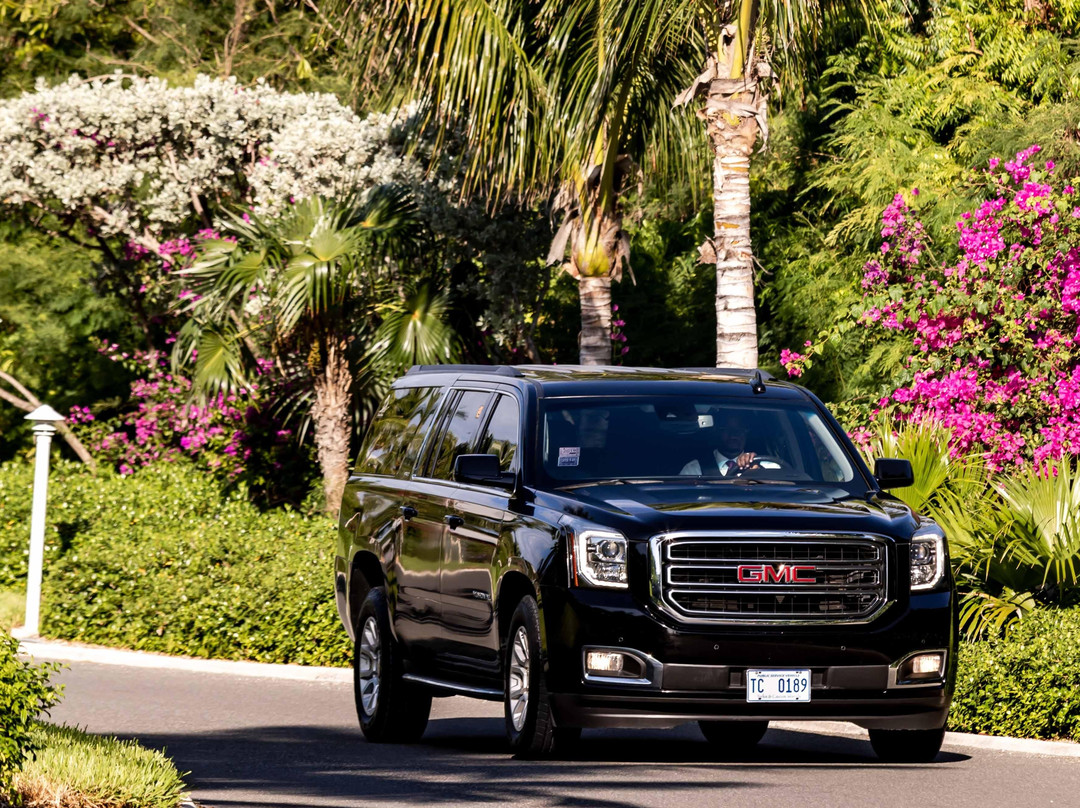 TopClassExperience-普罗维登西亚莱斯必去景点