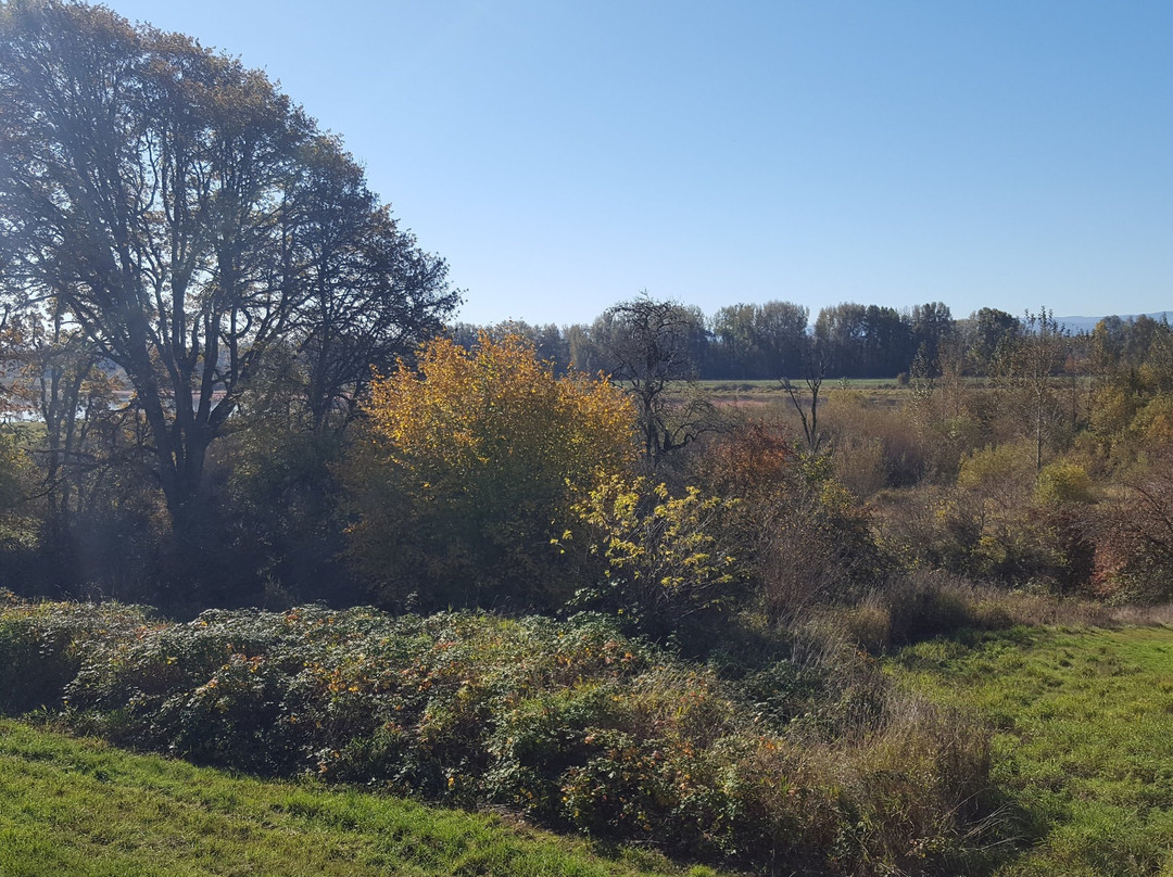 Ridgefield National Wildlife Refuge景点图片
