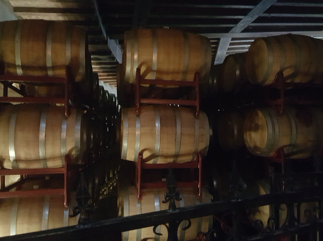 张裕摩塞尔十五世酒庄-银川市必去景点