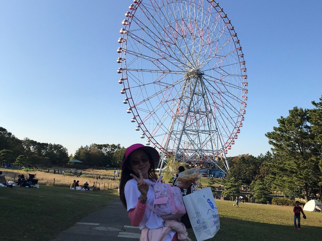 Diamond and Flower Ferris Wheel-江戸川区必去景点