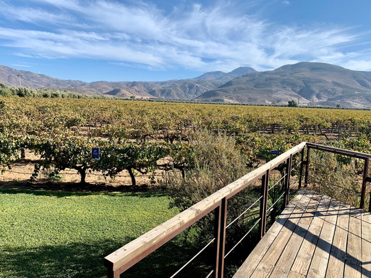 Vino Tinto Tours-Valle de Guadalupe必去景点