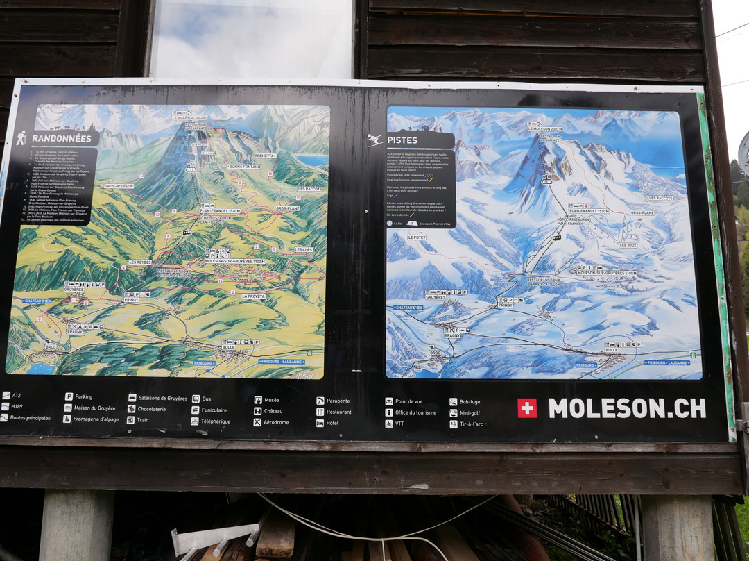 Moleson Ski Slopes景点图片