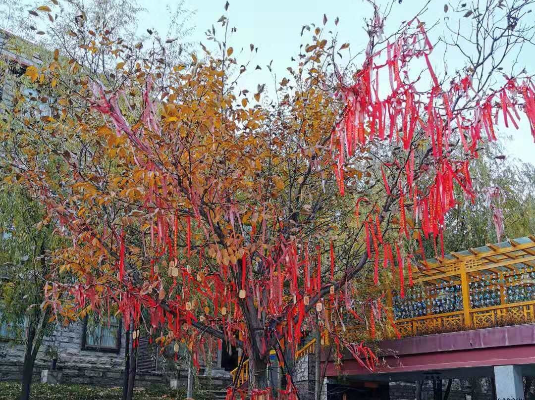 稻城亚丁华美达安可酒店主图