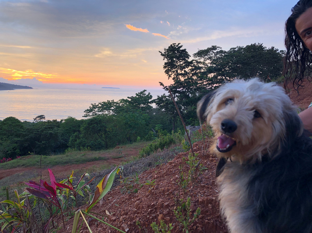 Hotel Villa Manolo主图