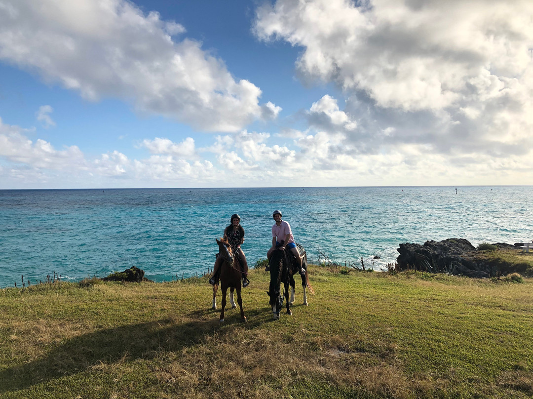 Moran Meadows-圣乔治必去景点