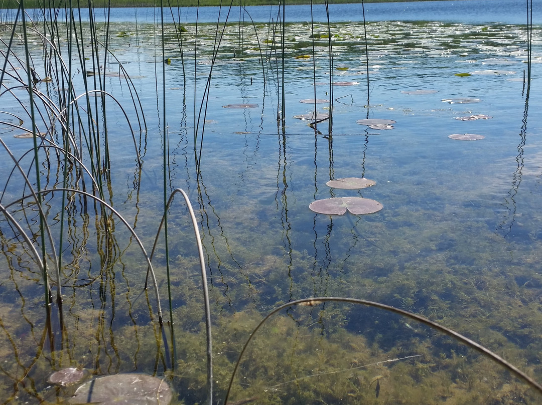 Pontiac Lake Recreation Area景点图片