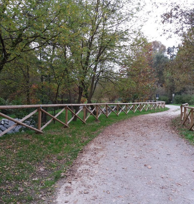 Parco di Brenno景点图片