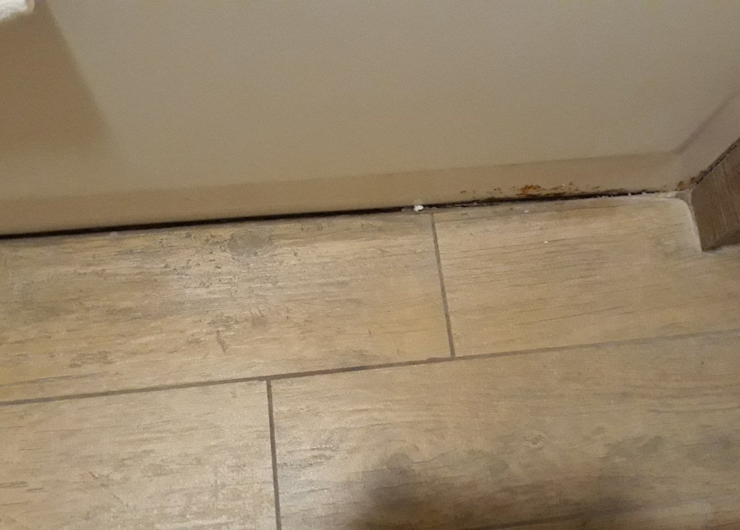 Best Western Apricot Inn主图