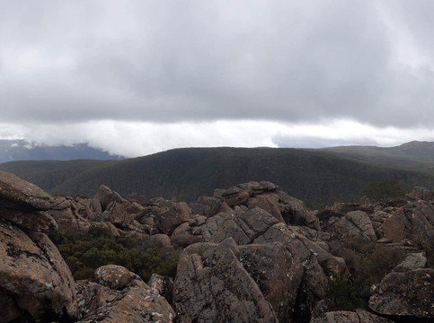 Mt Field National Park Campground主图