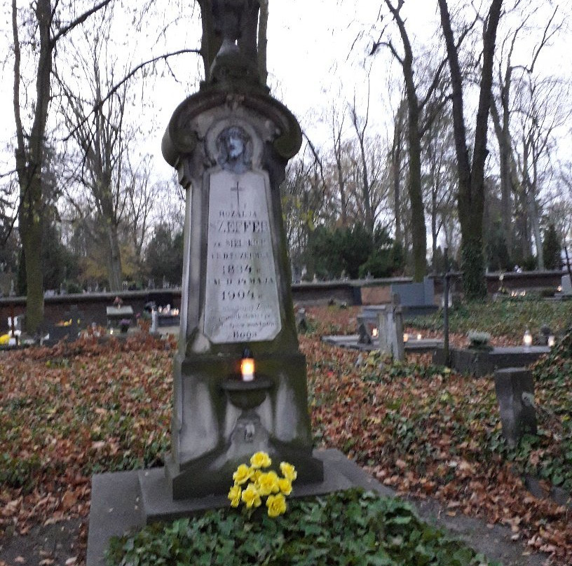 Cmentarz ewangelicki景点图片
