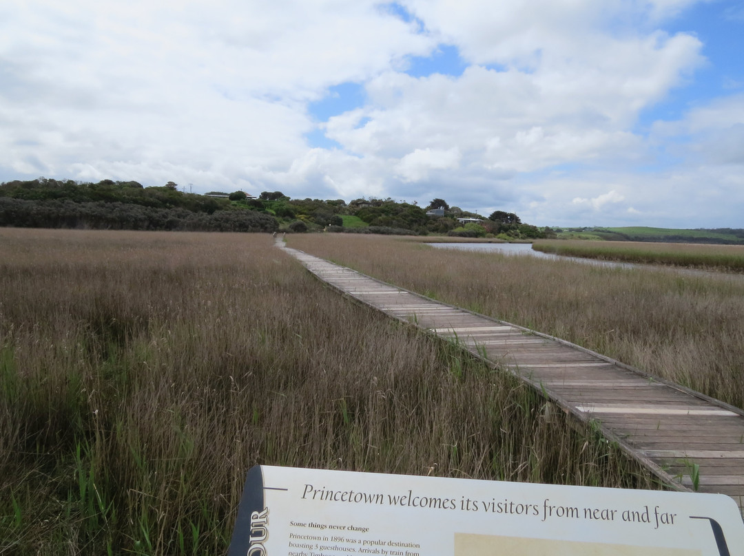 Princetown Wetlands Boardwalk景点图片